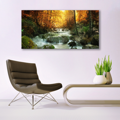 Foto schilderij op glas Bos waterval van de herfst natuur