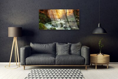 Foto schilderij op glas Bos waterval van de herfst natuur