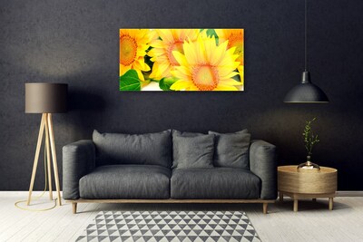 Foto schilderij op glas Zonnebloem flower nature