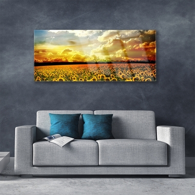 Foto schilderij op glas Gebied van zonnebloemen landscape