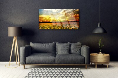 Foto schilderij op glas Gebied van zonnebloemen landscape