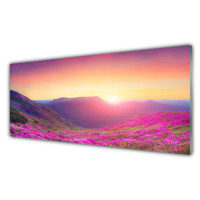 Foto schilderij op glas Sun mountain meadow nature