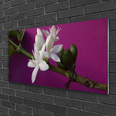 Foto schilderij op glas Bloemen nature plant scheuten