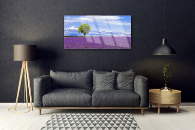 Foto schilderij op glas Gebied van de lavendel nature tree