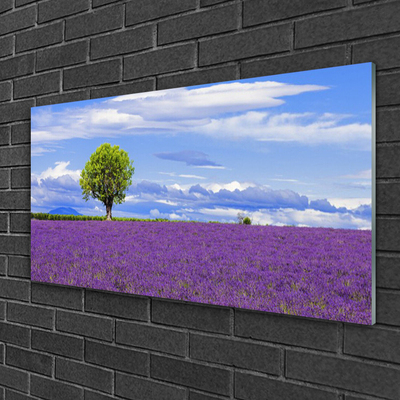 Foto schilderij op glas Gebied van de lavendel nature tree