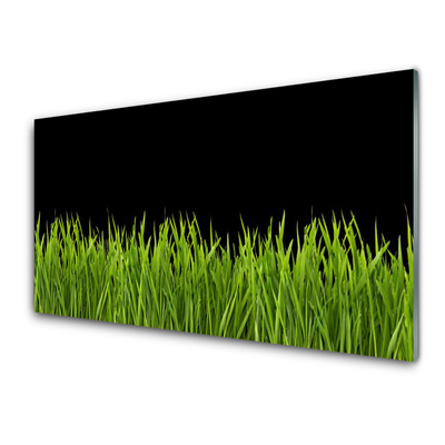 Foto schilderij op glas Green grass nature