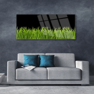 Foto schilderij op glas Green grass nature