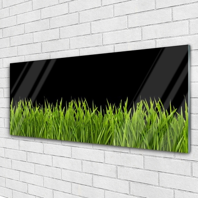 Foto schilderij op glas Green grass nature