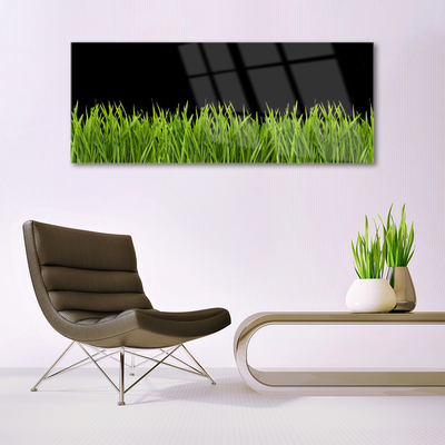 Foto schilderij op glas Green grass nature