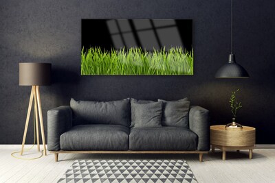 Foto schilderij op glas Green grass nature