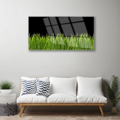 Foto schilderij op glas Green grass nature