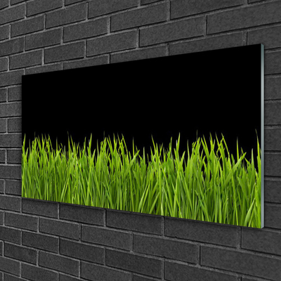 Foto schilderij op glas Green grass nature