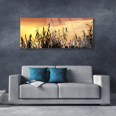 Foto schilderij op glas Bladeren west meadow field