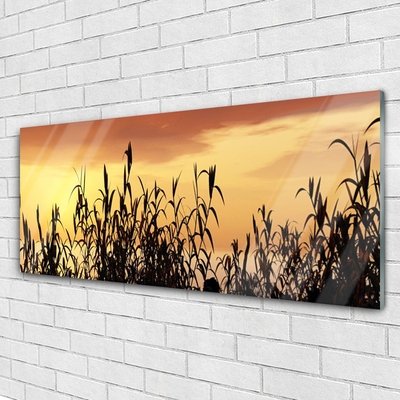 Foto schilderij op glas Bladeren west meadow field