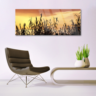 Foto schilderij op glas Bladeren west meadow field