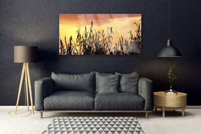 Foto schilderij op glas Bladeren west meadow field