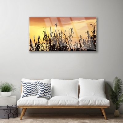 Foto schilderij op glas Bladeren west meadow field