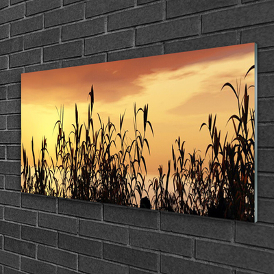 Foto schilderij op glas Bladeren west meadow field