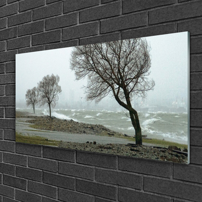 Foto schilderij op glas Sea storm waves