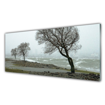 Foto schilderij op glas Sea storm waves