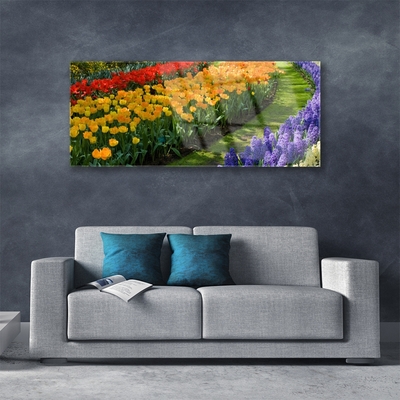 Foto schilderij op glas Tulpen bloemen garden