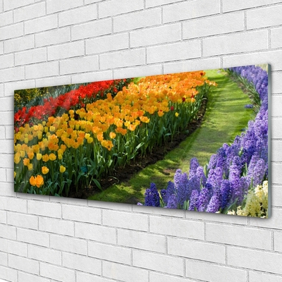 Foto schilderij op glas Tulpen bloemen garden