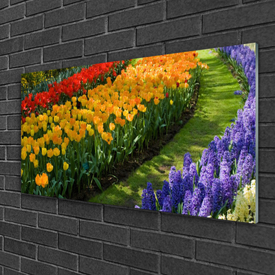 Foto schilderij op glas Tulpen bloemen garden