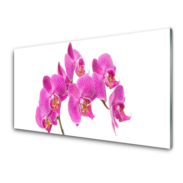 Foto schilderij op glas Orchideebloemen nature