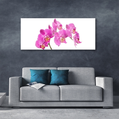 Foto schilderij op glas Orchideebloemen nature