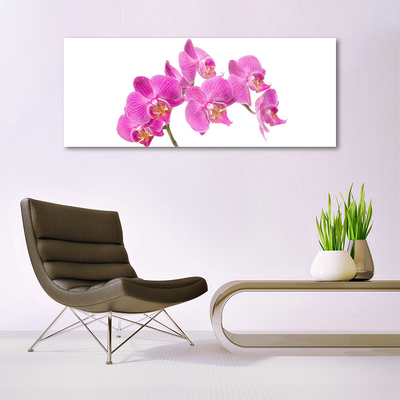 Foto schilderij op glas Orchideebloemen nature