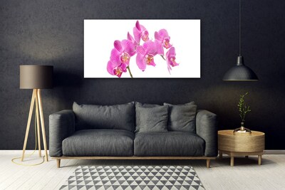 Foto schilderij op glas Orchideebloemen nature