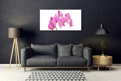 Foto schilderij op glas Orchideebloemen nature