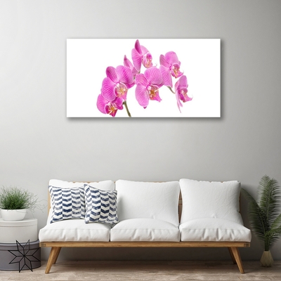 Foto schilderij op glas Orchideebloemen nature