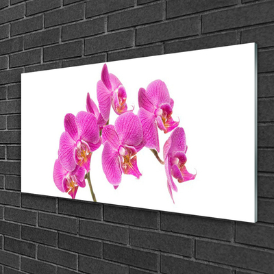 Foto schilderij op glas Orchideebloemen nature