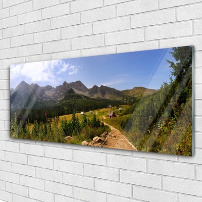 Foto schilderij op glas Hall meadow mountain road nature