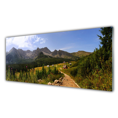 Foto schilderij op glas Hall meadow mountain road nature