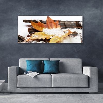 Foto schilderij op glas Autumn forest leaf nature