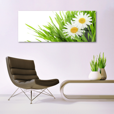 Foto schilderij op glas Daisy flower nature