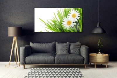 Foto schilderij op glas Daisy flower nature