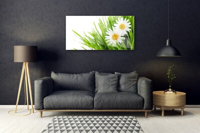 Foto schilderij op glas Daisy flower nature