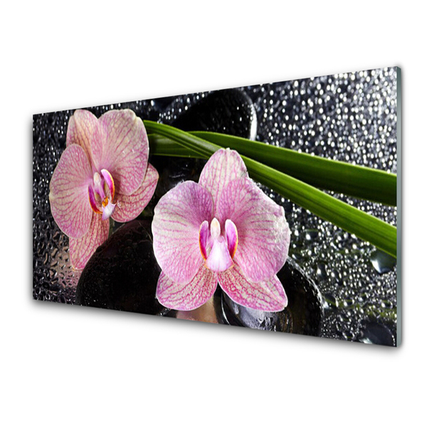 Foto schilderij op glas Orchidee bloemen orchidee zen