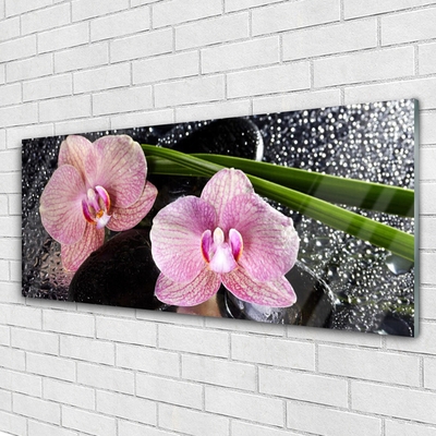 Foto schilderij op glas Orchidee bloemen orchidee zen