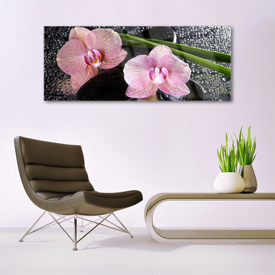 Foto schilderij op glas Orchidee bloemen orchidee zen