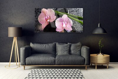 Foto schilderij op glas Orchidee bloemen orchidee zen