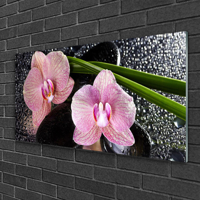 Foto schilderij op glas Orchidee bloemen orchidee zen