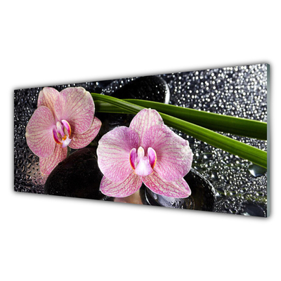 Foto schilderij op glas Orchidee bloemen orchidee zen