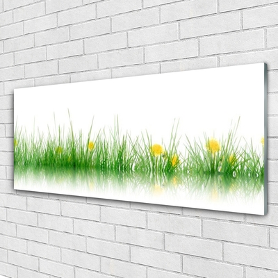 Foto schilderij op glas Natuur grass bloemen