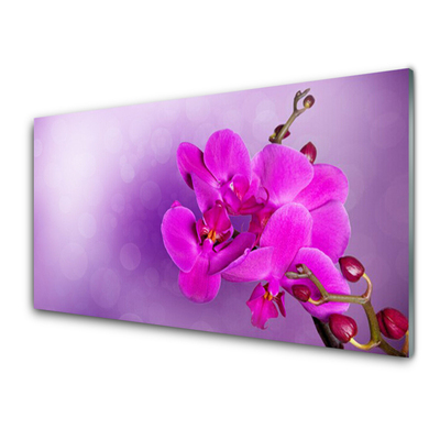 Foto schilderij op glas Orchid petals bloemen