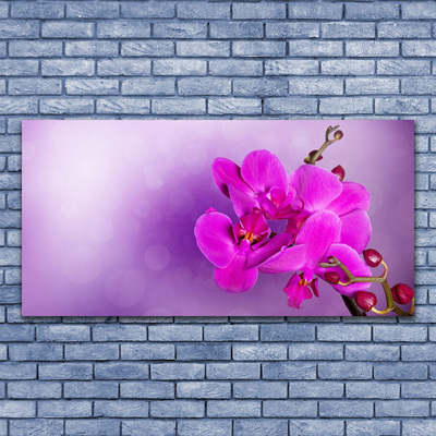 Foto schilderij op glas Orchid petals bloemen