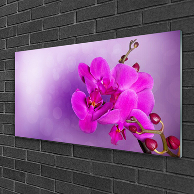 Foto schilderij op glas Orchid petals bloemen